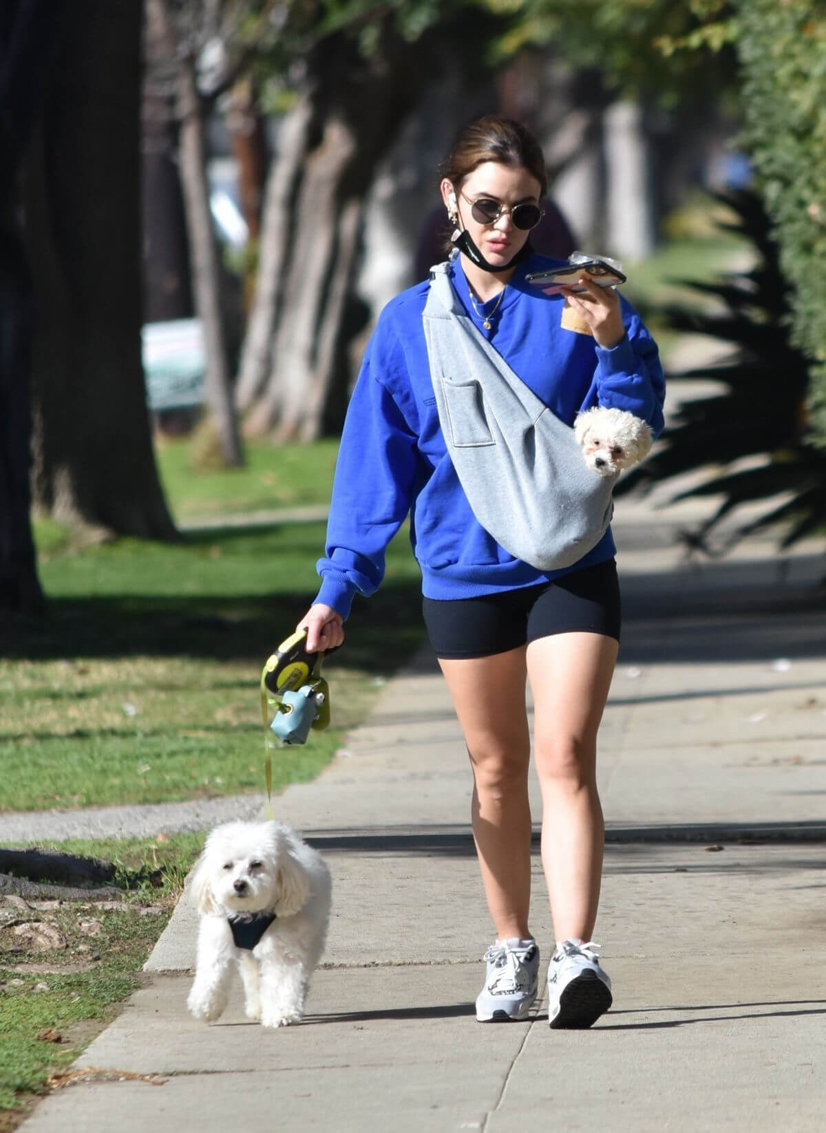 Lucy Hale in a Blue Sweatshirt and Shorts Out with Her Dogs in Studio City 02/11/2021