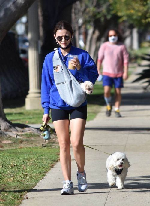 Lucy Hale in a Blue Sweatshirt and Shorts Out with Her Dogs in Studio City 02/11/2021 1