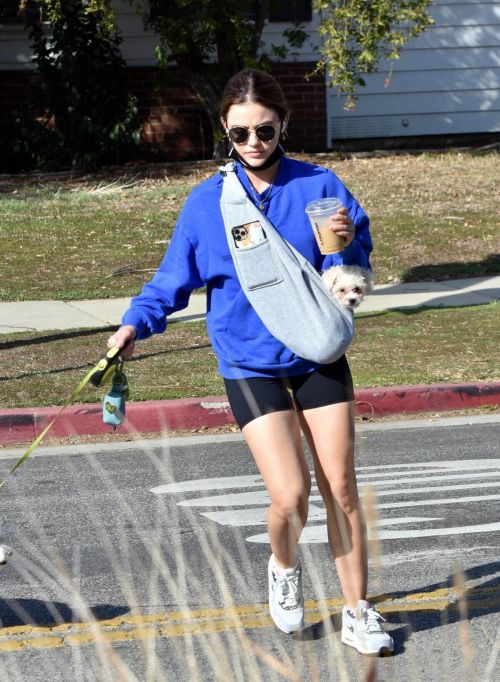 Lucy Hale in a Blue Sweatshirt and Shorts Out with Her Dogs in Studio City 02/11/2021 4