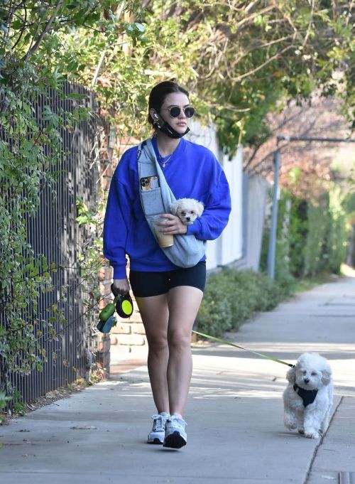 Lucy Hale in a Blue Sweatshirt and Shorts Out with Her Dogs in Studio City 02/11/2021 7