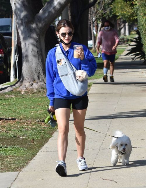 Lucy Hale in a Blue Sweatshirt and Shorts Out with Her Dogs in Studio City 02/11/2021 2