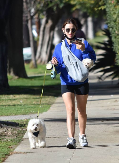 Lucy Hale in a Blue Sweatshirt and Shorts Out with Her Dogs in Studio City 02/11/2021 9