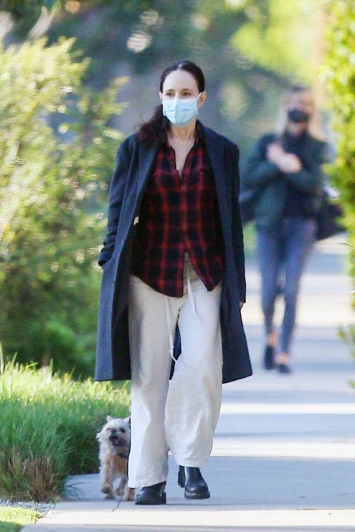 Madeleine Stowe walks with Her Dog Out in Los Angeles 02/09/2021 6