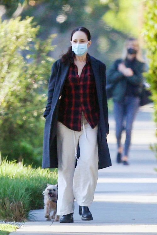 Madeleine Stowe walks with Her Dog Out in Los Angeles 02/09/2021 4