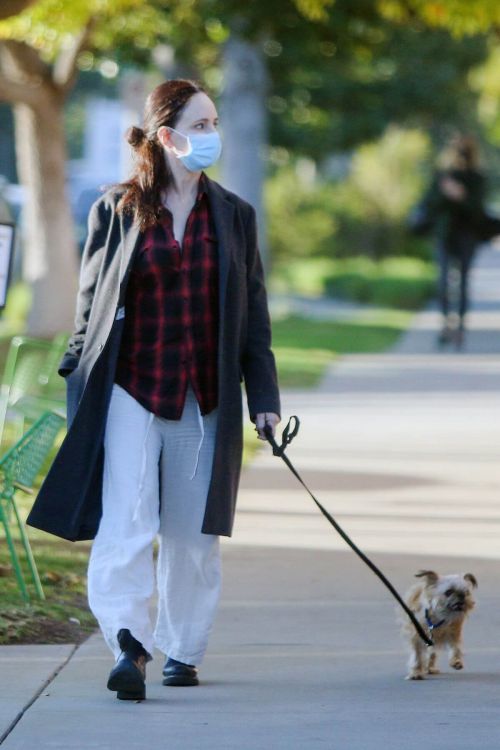 Madeleine Stowe walks with Her Dog Out in Los Angeles 02/09/2021 3