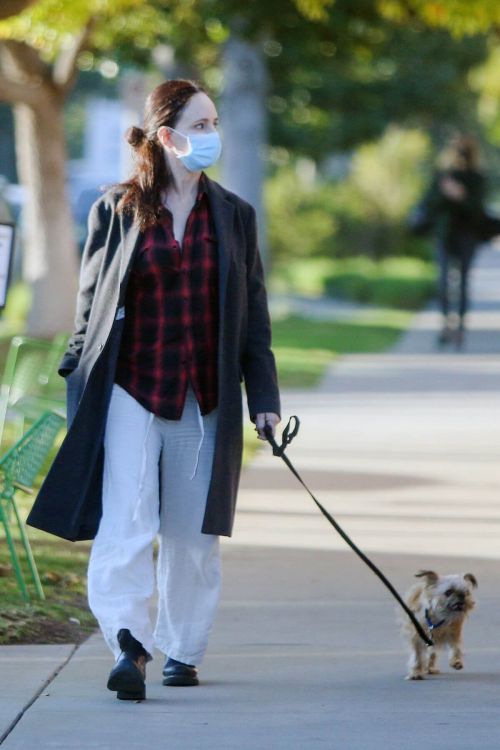 Madeleine Stowe walks with Her Dog Out in Los Angeles 02/09/2021 6