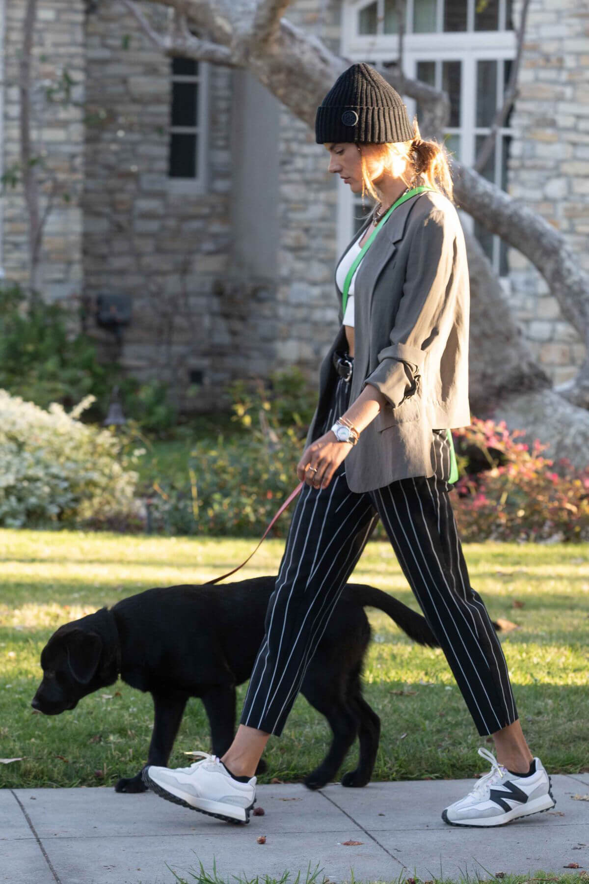 Alessandra Ambrosio Day Out with Her Dog in Santa Monica 03/24/2021