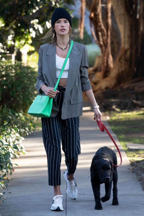 Alessandra Ambrosio Day Out with Her Dog in Santa Monica 03/24/2021 1