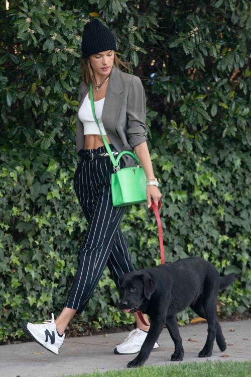 Alessandra Ambrosio Day Out with Her Dog in Santa Monica 03/24/2021 2