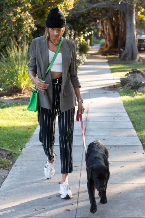 Alessandra Ambrosio Day Out with Her Dog in Santa Monica 03/24/2021 6