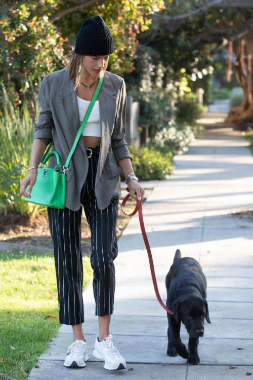 Alessandra Ambrosio Day Out with Her Dog in Santa Monica 03/24/2021