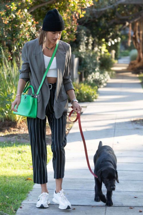 Alessandra Ambrosio Day Out with Her Dog in Santa Monica 03/24/2021 5