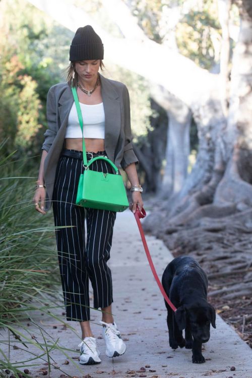 Alessandra Ambrosio Day Out with Her Dog in Santa Monica 03/24/2021