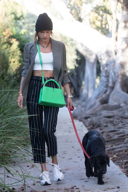Alessandra Ambrosio Day Out with Her Dog in Santa Monica 03/24/2021 6