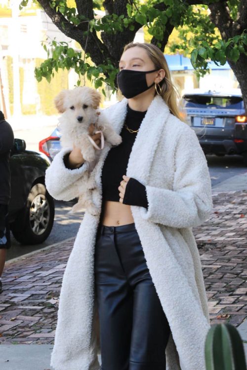 Alexis Ren Showcased Her Flat Tummy During Coffee Run with Her Dog in West Hollywood 03/11/2021 5