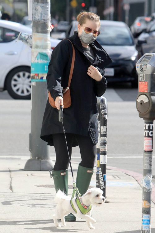 Amy Adams wears Mask for Safety as She is Out with Her Dogs in Los Angeles 03/10/2021
