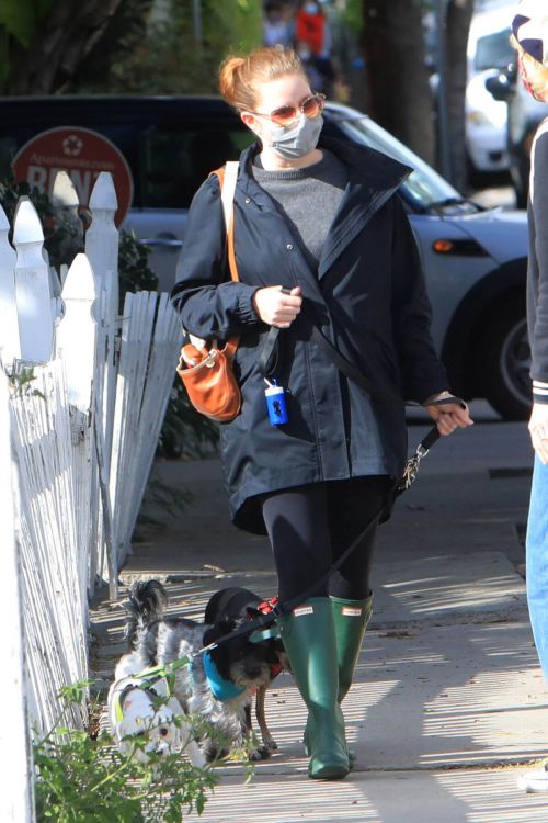 Amy Adams wears Mask for Safety as She is Out with Her Dogs in Los Angeles 03/10/2021 4