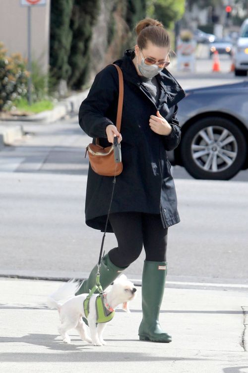 Amy Adams wears Mask for Safety as She is Out with Her Dogs in Los Angeles 03/10/2021 5