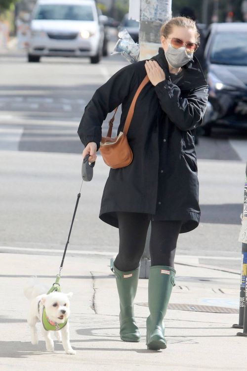 Amy Adams wears Mask for Safety as She is Out with Her Dogs in Los Angeles 03/10/2021 6
