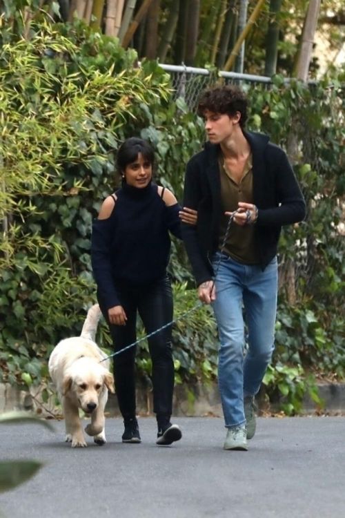 Camila Cabello and Shawn Mendes Hiking with Their Dog in Los Angeles 03/21/2021