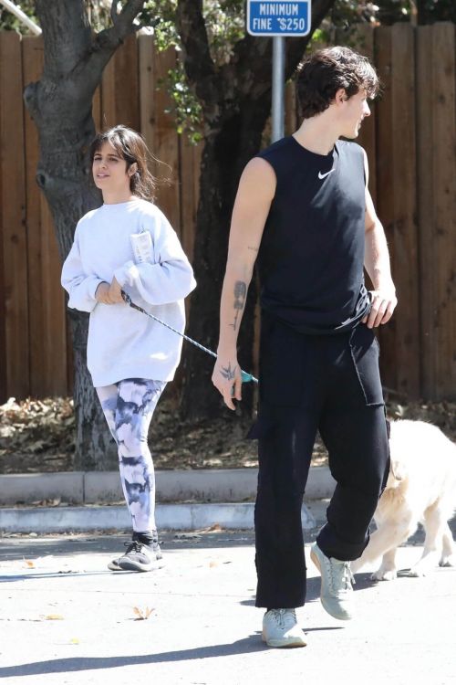 Camila Cabello and Shawn Mendes Steps Out with Their Dog in Los Angeles 03/19/2021 1