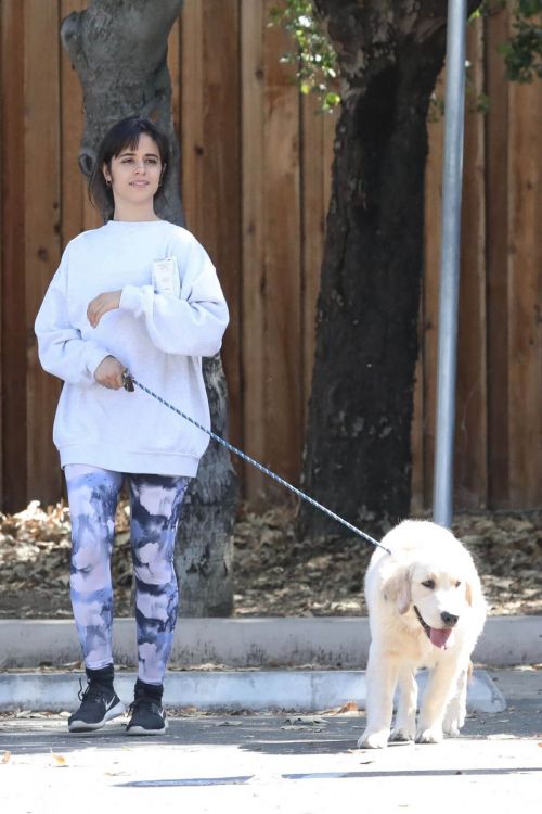 Camila Cabello and Shawn Mendes Steps Out with Their Dog in Los Angeles 03/19/2021 4
