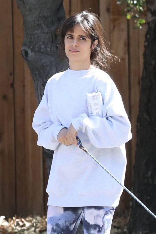 Camila Cabello and Shawn Mendes Steps Out with Their Dog in Los Angeles 03/19/2021 2