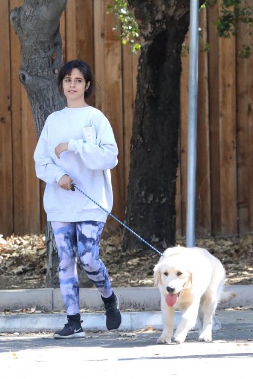 Camila Cabello and Shawn Mendes Steps Out with Their Dog in Los Angeles 03/19/2021 3