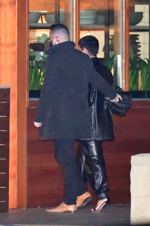 Demi Lovato Night Out with Friends in Malibu 03/12/2021 2