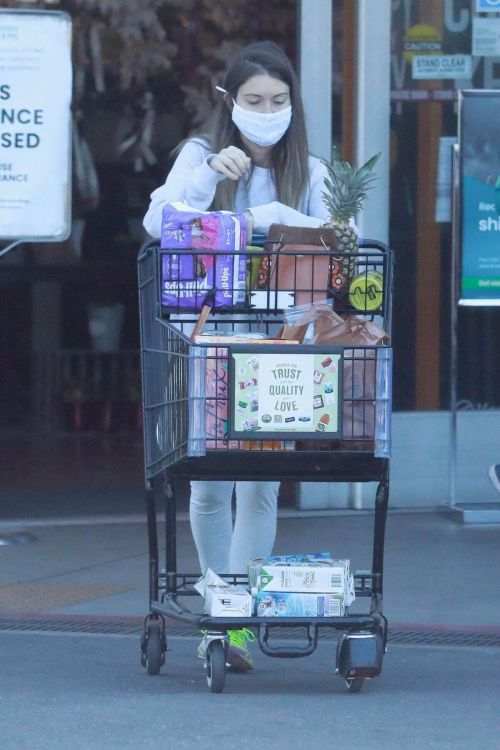Lauren Parsekian out for Grocery Shopping in Los Feliz 02/24/2021 4