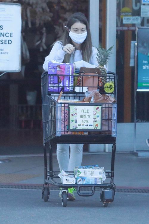 Lauren Parsekian out for Grocery Shopping in Los Feliz 02/24/2021 2