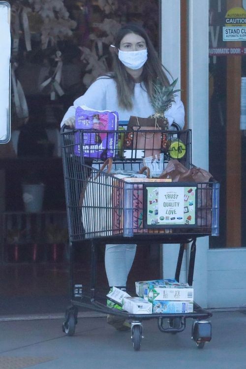 Lauren Parsekian out for Grocery Shopping in Los Feliz 02/24/2021 5