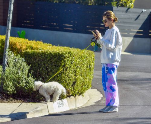 Lucy Hale in Comfy Outfit as She Out with Her Dog in Studio City 02/24/2021 5