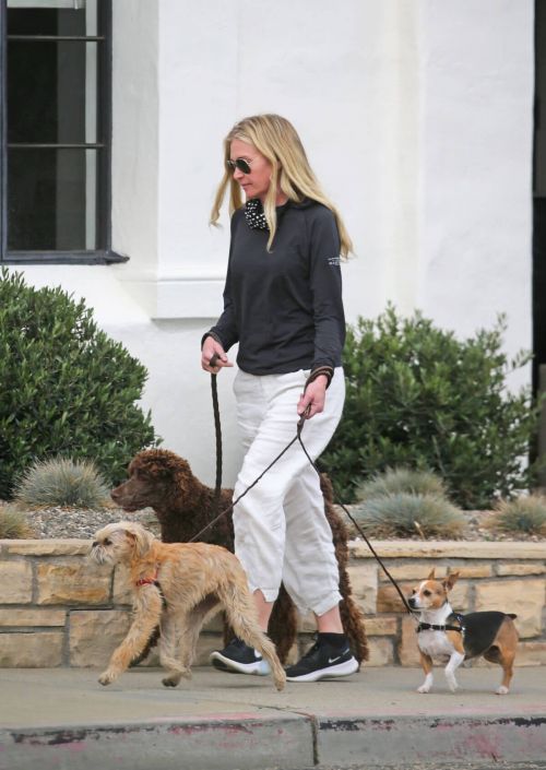 Portia de Rossi Steps Out with Her Dogs in Montecito 03/14/2021 1