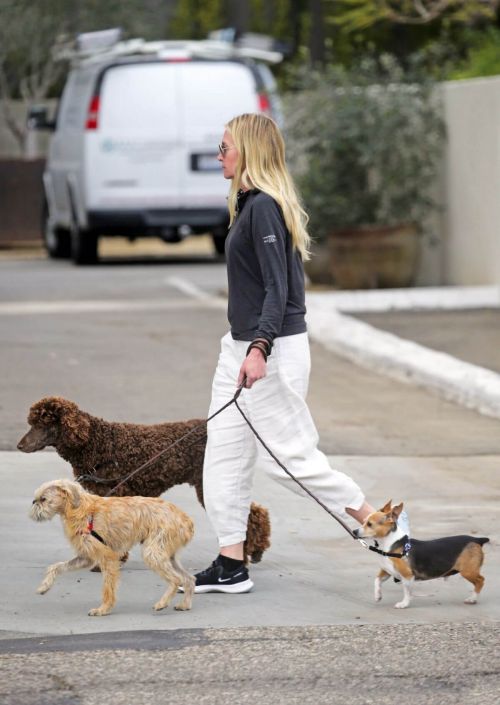 Portia de Rossi Steps Out with Her Dogs in Montecito 03/14/2021 3