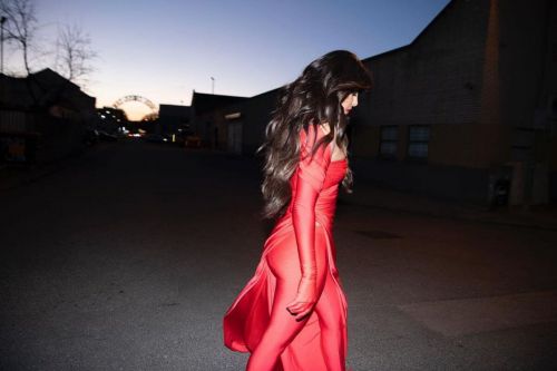 Priyanka Chopra in Red Dress at a Photoshoot, March 2021