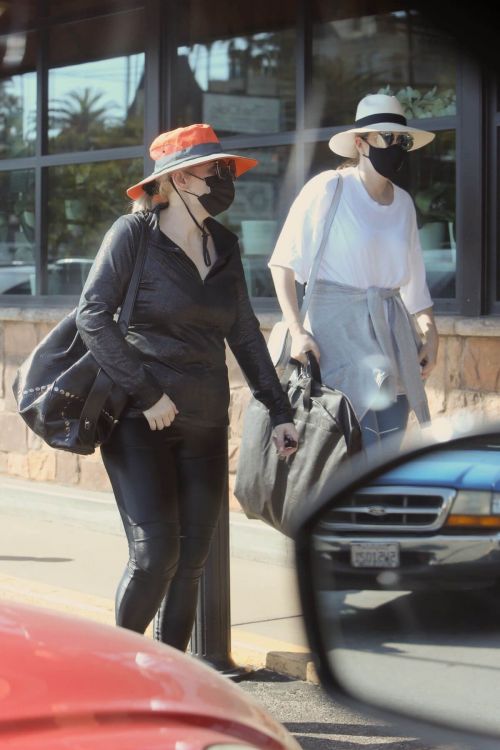 Rebel Wilson Out For Shopping at Gelson