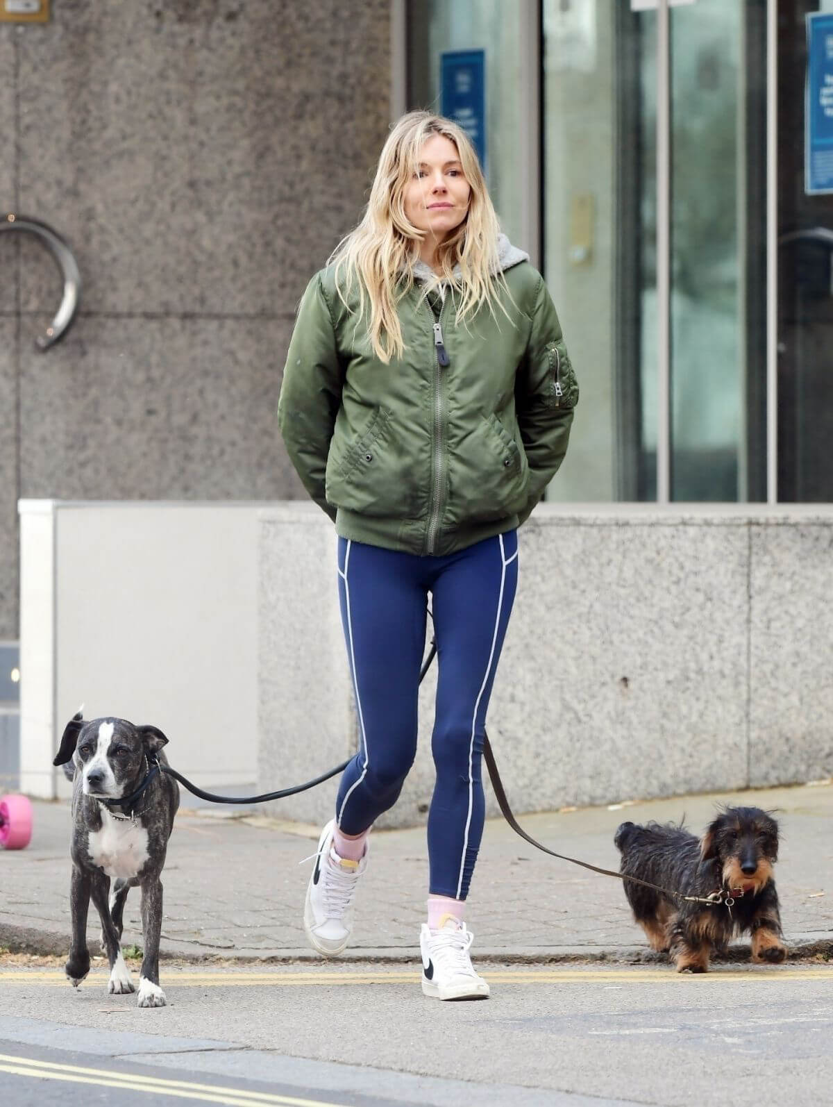 Sienna Miller Steps Out with Her Dogs in London 03/14/2021