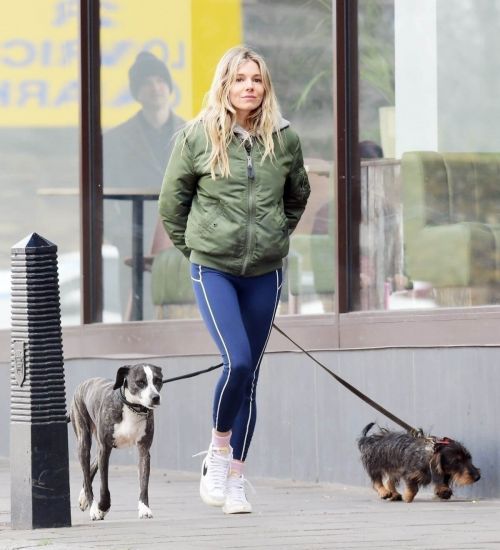 Sienna Miller Steps Out with Her Dogs in London 03/14/2021 4