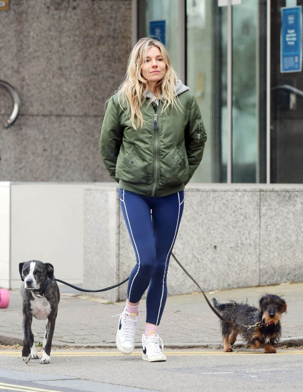 Sienna Miller Steps Out with Her Dogs in London 03/14/2021 2