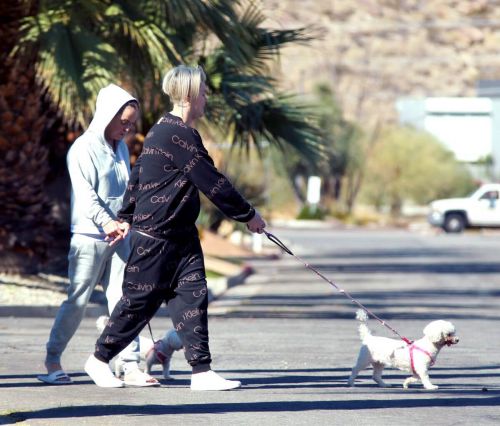 Taryn Manning Steps Out with Her Dogs in Palm Springs 03/09/2021 2