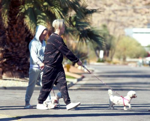 Taryn Manning Steps Out with Her Dogs in Palm Springs 03/09/2021 4