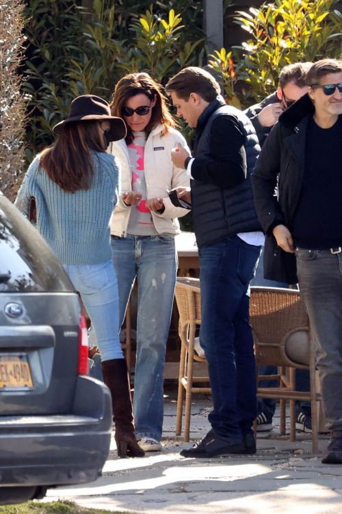 Luann de Lesseps Steps Out for Lunch in Sag Harbor 03/21/2021