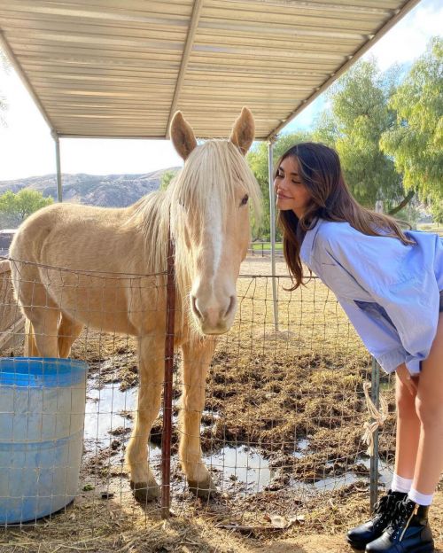 Madison Beer Shared Instagram Photos 03/23/2021 1