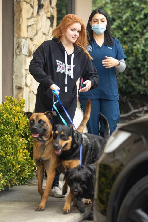 Ariel Winter in Black Hoodie Picking up Her Dogs from Groomer in Los Angeles 09/27/2021 2