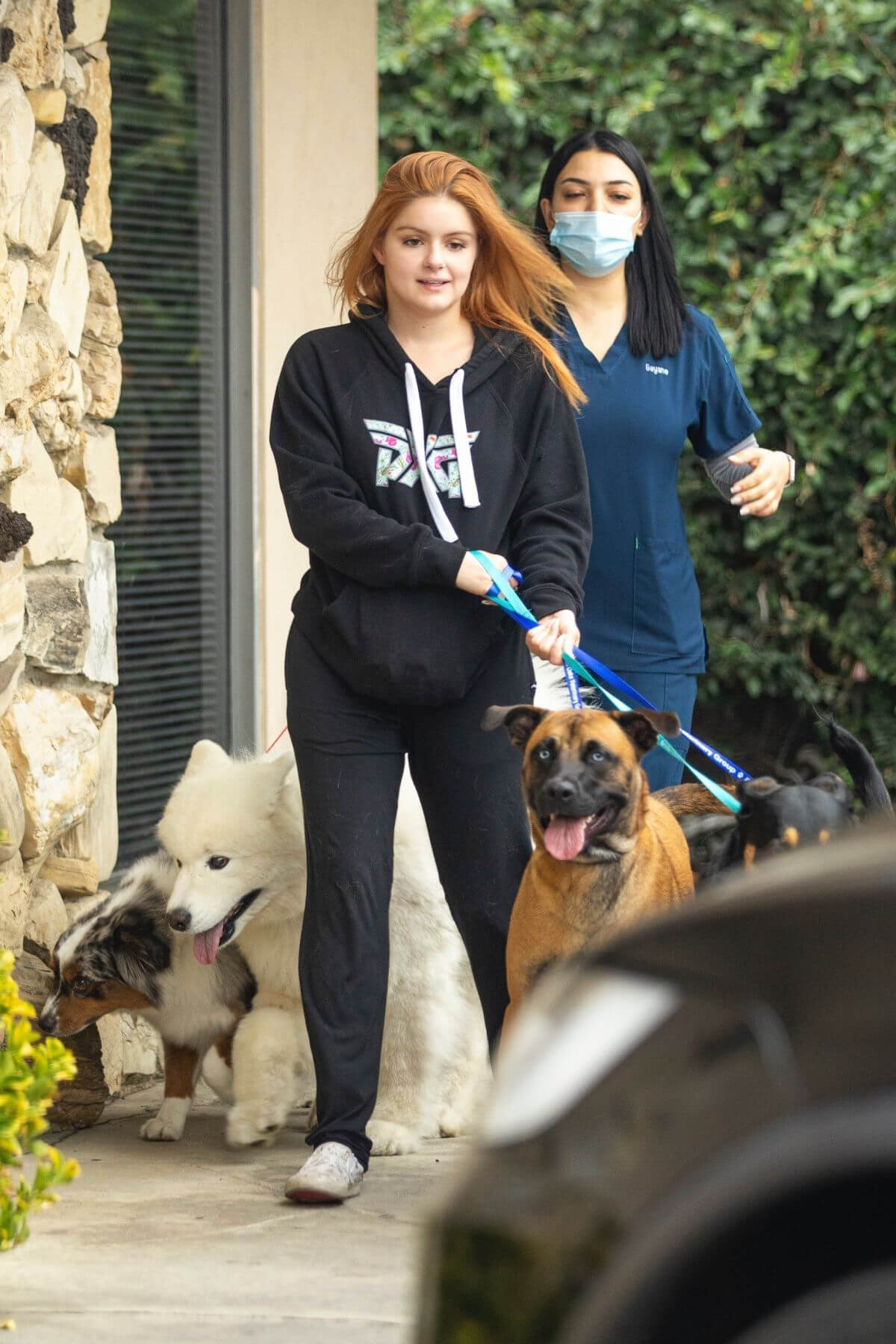 Ariel Winter in Black Hoodie Picking up Her Dogs from Groomer in Los Angeles 09/27/2021 5