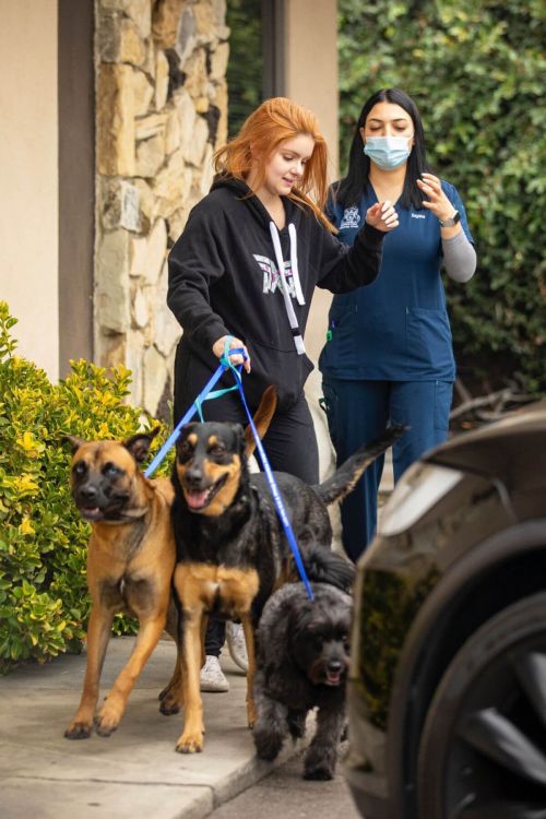 Ariel Winter in Black Hoodie Picking up Her Dogs from Groomer in Los Angeles 09/27/2021 2