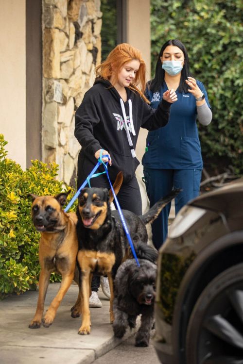 Ariel Winter in Black Hoodie Picking up Her Dogs from Groomer in Los Angeles 09/27/2021 6