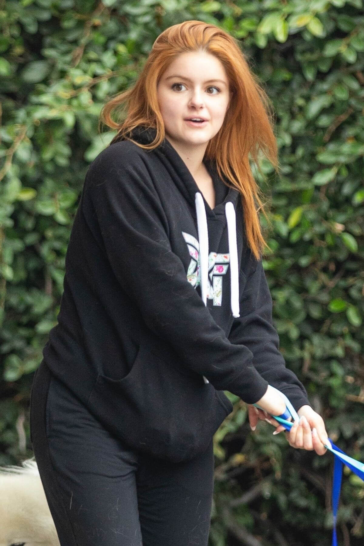 Ariel Winter in Black Hoodie Picking up Her Dogs from Groomer in Los Angeles 09/27/2021 3