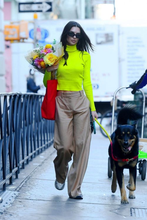 Emily Ratajkowski Out with Her Dog Shopping for Fresh Flowers in New York City 11/18/2021